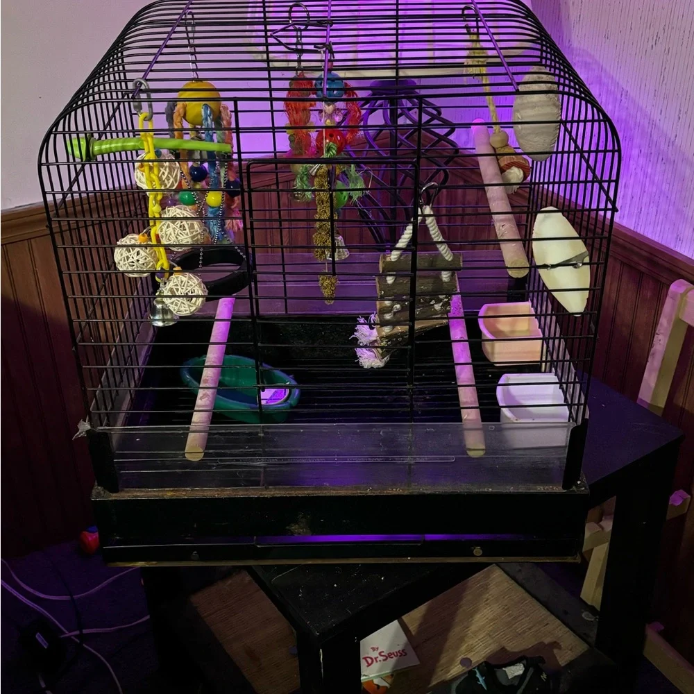 Bird cage with accessories and toys